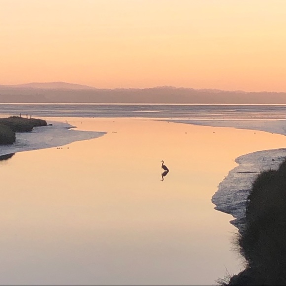 Meet your Posher, Elizabeth - Picture 6 of 6